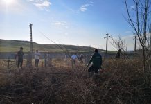 VIDEO: Gest creștinesc! Biserica și cimitirul din Găleșoaia, scoase de sub mărăcini!