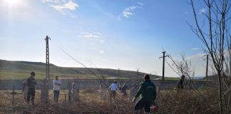 VIDEO: Gest creștinesc! Biserica și cimitirul din Găleșoaia, scoase de sub mărăcini!