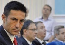 Oltenia trimite șeful Comisiei de control al SRI în Parlamentul European