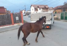 Amendată de două ori în aceeaşi zi