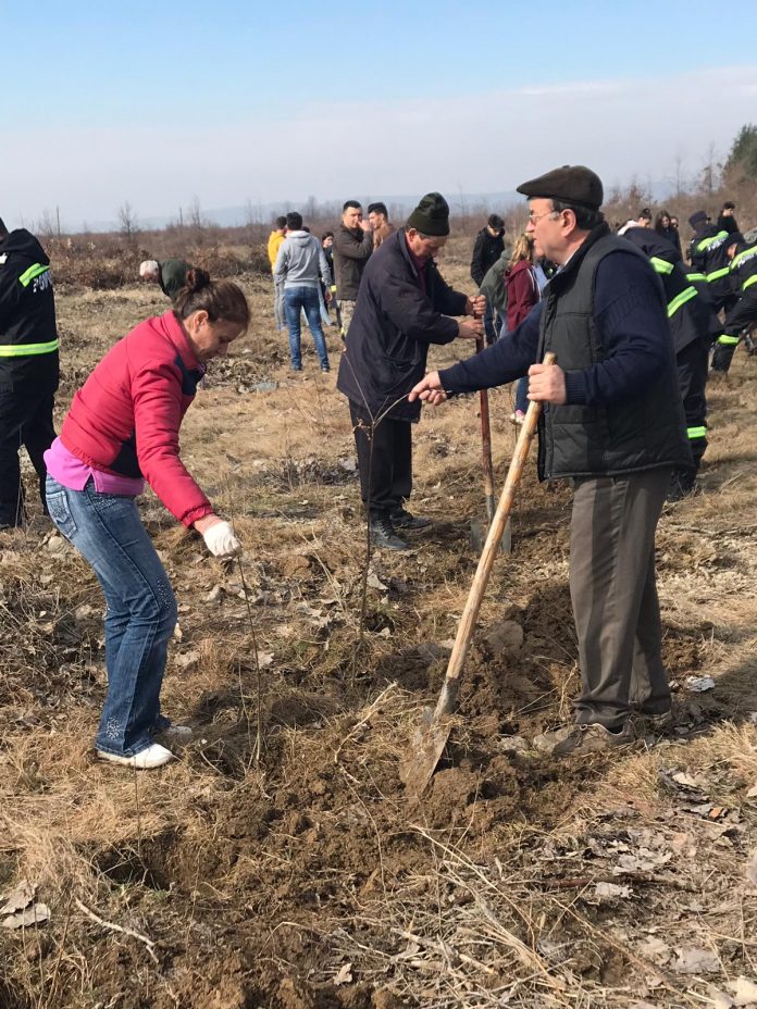 FOTO: Acțiune de plantare în Poiana Narciselor
