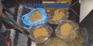 Percheziții la locuința unei femei din Târgu-Jiu