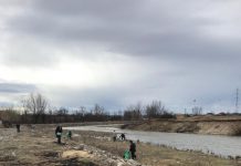Acţiune de ecologizare la Șuşiţa