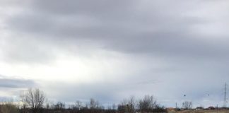 Acţiune de ecologizare la Șuşiţa