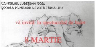 Spectacol de balet, la Casa Armatei