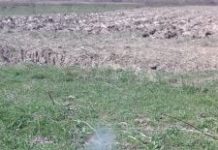 Femeie din Scoarța, amenințată de soț cu incendierea locuinței