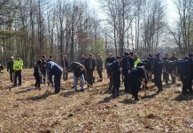 Cinci mii de puieţi, plantaţi la Rasoviţa