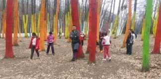 Excursii pentru 16 copii din sistemul de protecție specială