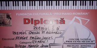 Patru copii, șapte premii!