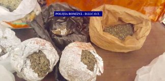 Tânăr din Turceni, reținut pentru trafic de droguri de risc