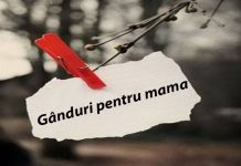 Amintirile sunt mai frumoase cu tine, mamă! – (elevii clasei a III-a A, Şcoala Gimnazială“ Constantin Brâncuşi”)