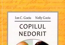 „Copilul nedorit” – un roman postmodern-transmodern