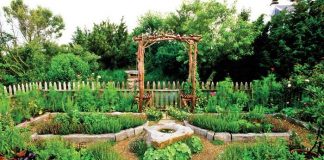 Rotația culturilor legumicole