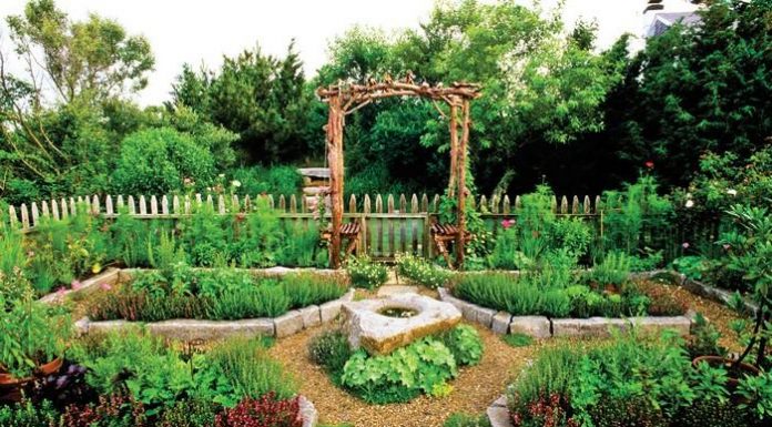 Rotația culturilor legumicole