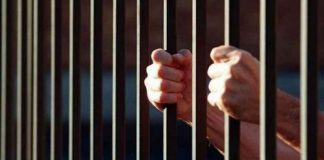 Gorjeni arestați în străinătate. Alți 19 au decedat!