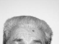 Academicianul gorjean Grigore Brâncuş, celebrat astăzi, la Bucureşti