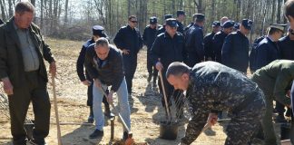 Acţiune de împădurire, demarată de Prefectura Gorj