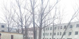 Mașină distrusă de flăcări