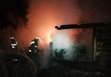 Foc pus intenționat la un adăpost de animale din Runcu