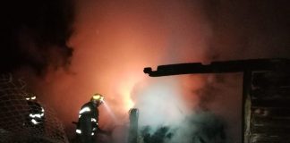 Foc pus intenționat la un adăpost de animale din Runcu