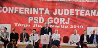 Susţinere din Gorj pentru şeful Comisiei SRI