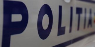 S-a oprit cu mașina în șanț, după ce a vrut să evite un câine