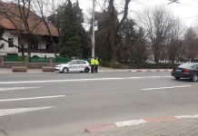 Sute de gorjeni, amendați pentru că nu purtau centura de siguranță