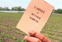 Rentierii din judeţ, aşteptaţi la vizarea carnetelor!