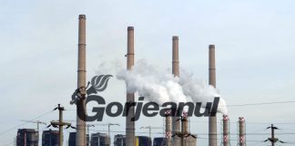 Vicepreședintele Sindicatului Energia Turceni: ,,I-am pus pe unii la treabă, iar acest lucru i-a deranjat și au început să inventeze ori să exagereze lucruri despre mine”!