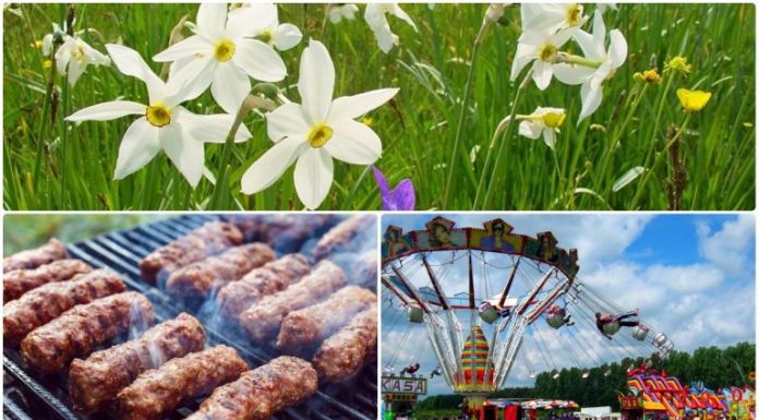 Fără comerț second-hand la Drăgoieni și în Poiana Narciselor