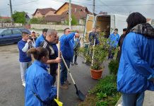 Membrii ALDE au plantat flori și arbuști în municipiu!