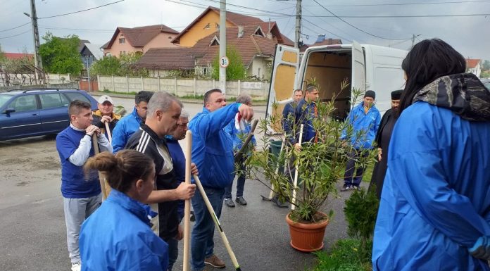 Membrii ALDE au plantat flori și arbuști în municipiu!