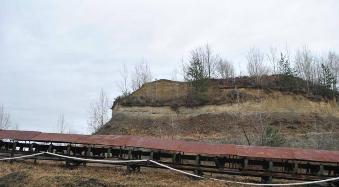 CE Oltenia nu a plătit de trei ani. Boza, aşteptat la discuţii. „E nemulţumire mare”