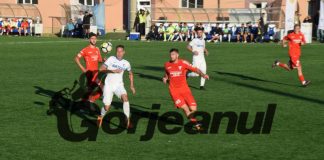 Pandurii, thriller la Arad!