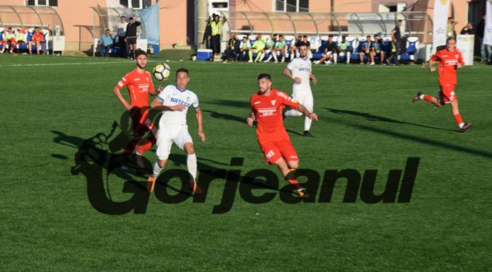 Pandurii, thriller la Arad!