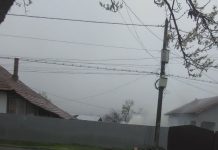 Un proprietar de capre din Bengești-Ciocadia, acuzat că arde deșeuri furajere deranjând vecinii! Plângere la DSP Gorj, fermierul avertizat