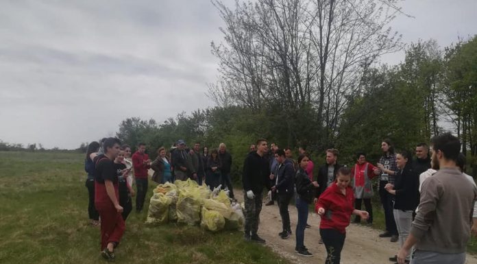 Galerie foto: Studenții UCB, salariați ai CJ Gorj și ISU au ecologizat Poiana Narciselor