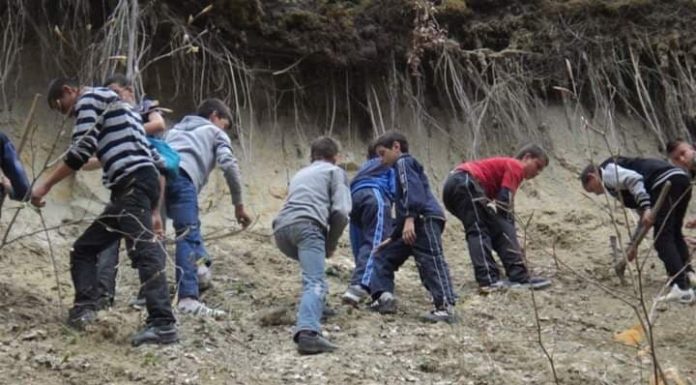 #Proiectul „Eu și Natura” a împlinit 10 ani!