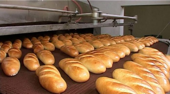 Amenzi de peste jumătate de miliard de lei vechi, aplicate de inspectorii DSV