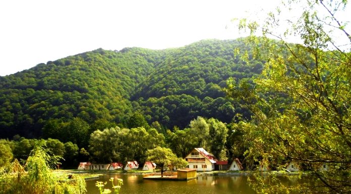 Viceprimarul de Padeș: Infrastructura din Cerna Sat se va reabilita