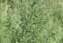 Atenționare emisă de Primăria Târgu Jiu!