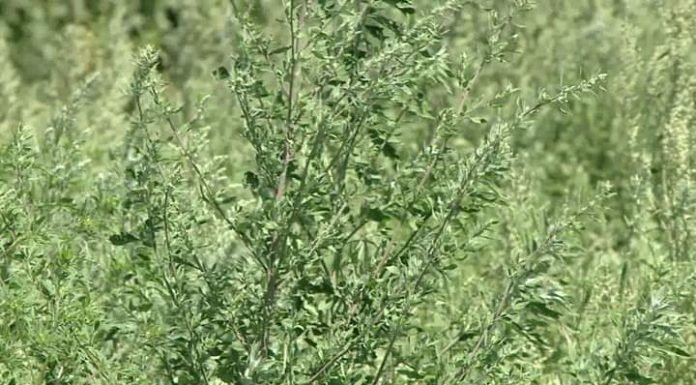 Atenționare emisă de Primăria Târgu Jiu!