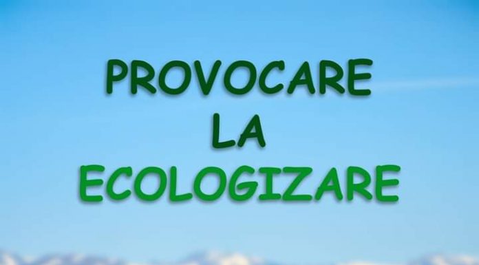 Studenții UCB Târgu Jiu ecologizează Poiana Narciselor