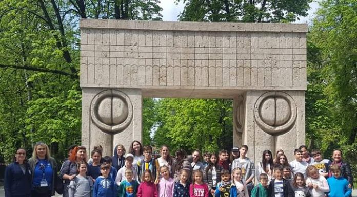 FOTO: Operele brâncușiene, vizitate de elevi din Deva