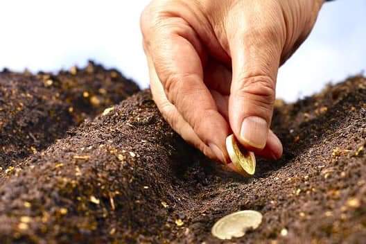 FB_IMG_1555942515142