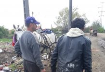 Amendaţi pentru gunoaie