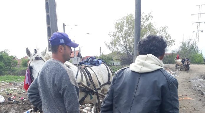 Amendaţi pentru gunoaie