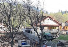 FOTO: Controale la depozite de cherestea din Padeș