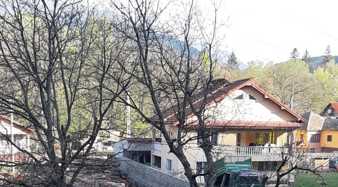 FOTO: Controale la depozite de cherestea din Padeș