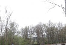 FOTO: Pod prăbuşit la Stoina